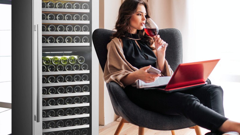 Why You Should Choose LanboPro LP168D Wine Cooler?