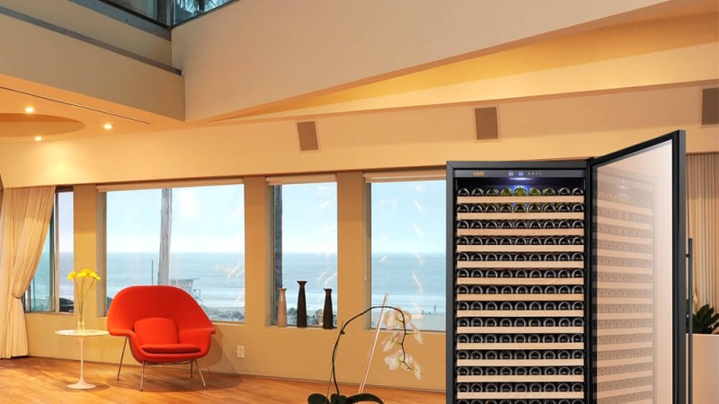 Why Do You Need LW321S Wine Cooler?